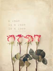 23-rose-quotes-22